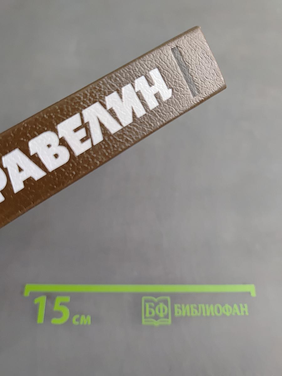 Алексеевский равелин. Секретная государственная тюрьма России в XIX веке. Книга II