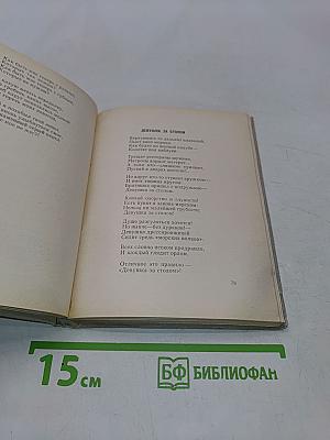 Витязи