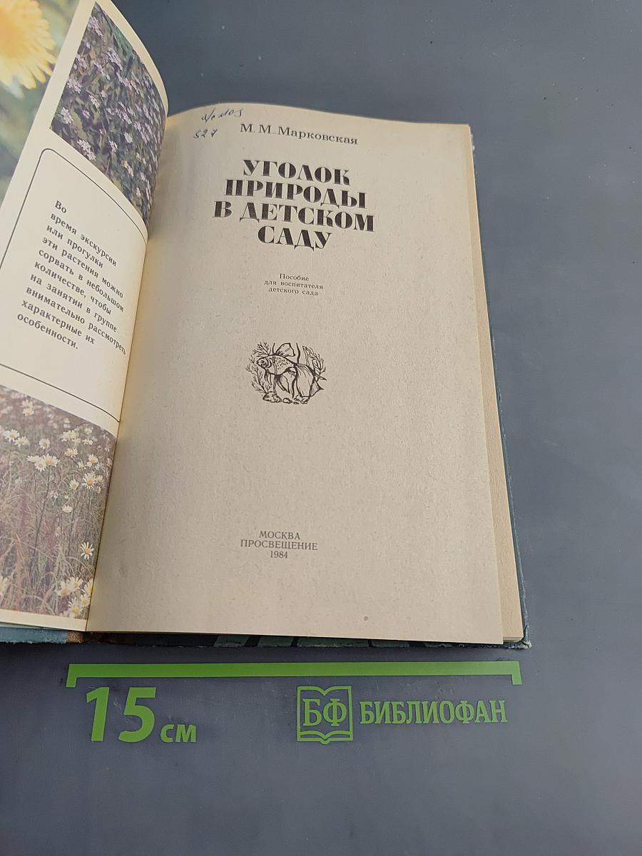 Уголок природы в детском саду