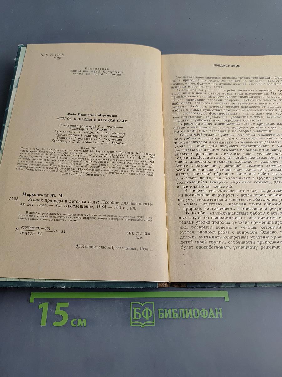 Уголок природы в детском саду