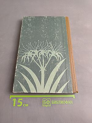 Уголок природы в детском саду