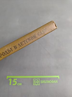 Уголок природы в детском саду