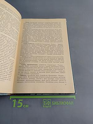 Уголок природы в детском саду