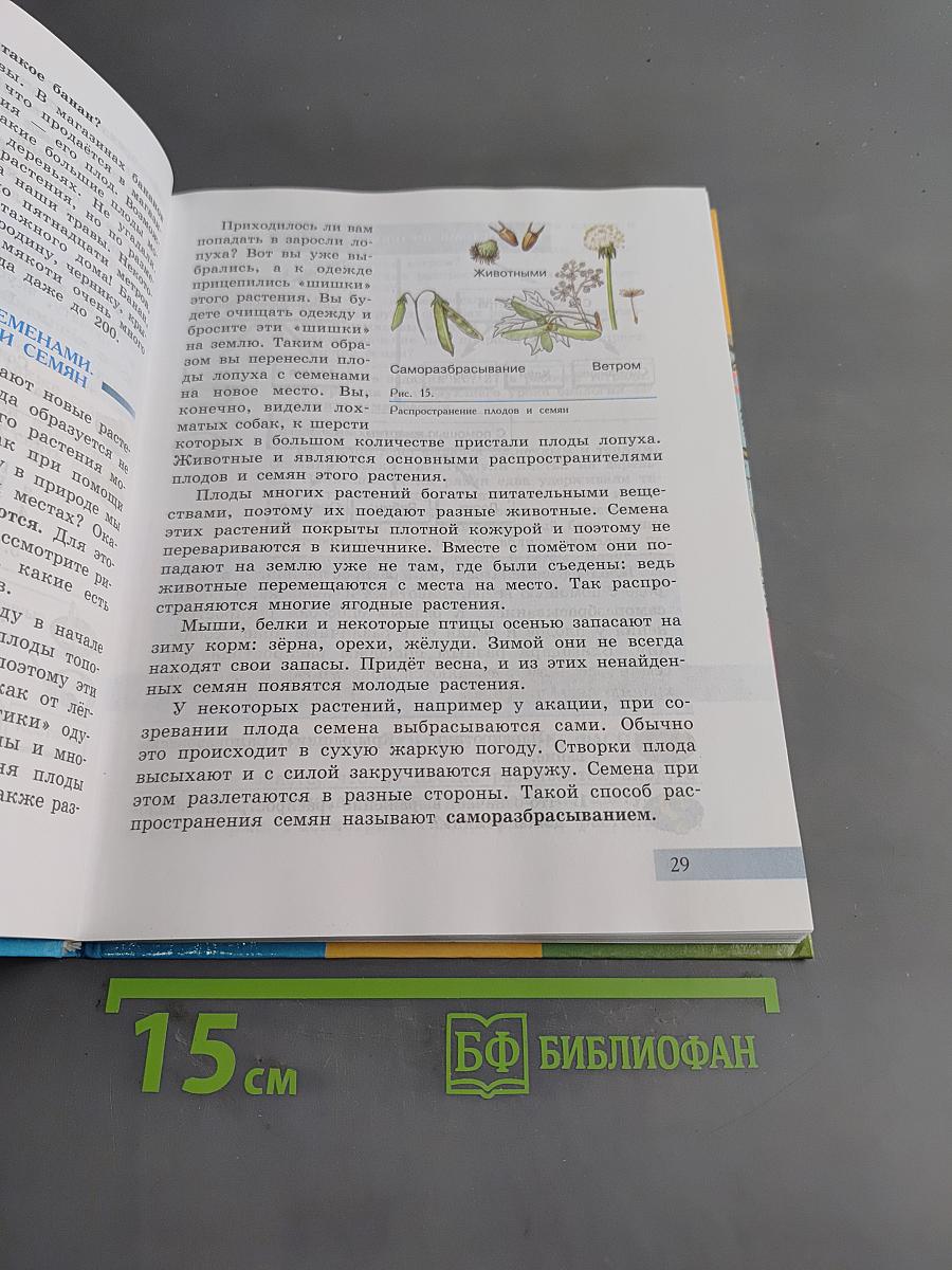 Биология. Растения. Бактерии. Грибы. Учебник для 7 класса специальных (коррекционных) образовательных учреждений VIII вида