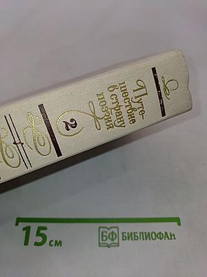 Путешествие в страну поэзия. Поэзия – школе. В двух книгах. Книга 2