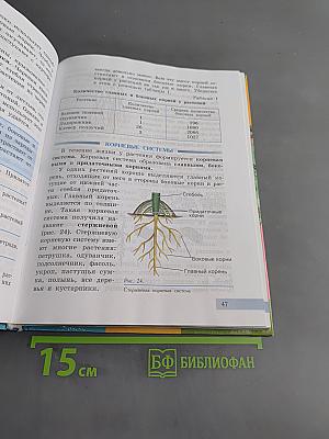 Биология. Растения. Бактерии. Грибы. 7 класс