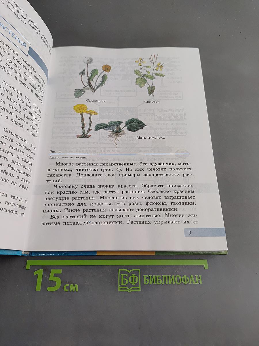 Биология. Растения. Бактерии. Грибы. Учебник для 7 класса специальных (коррекционных) образовательных учреждений VIII вида