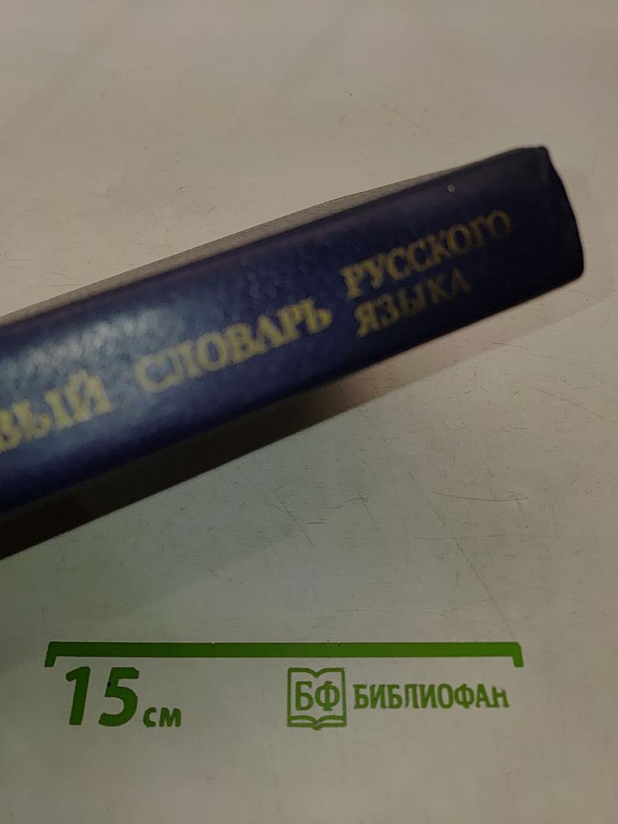 Школьный толковый словарь русского языка