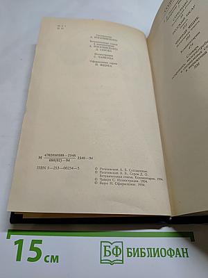 Стрельцы. Русский Икар. Черный ящик