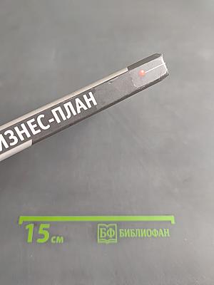 Бизнес-план