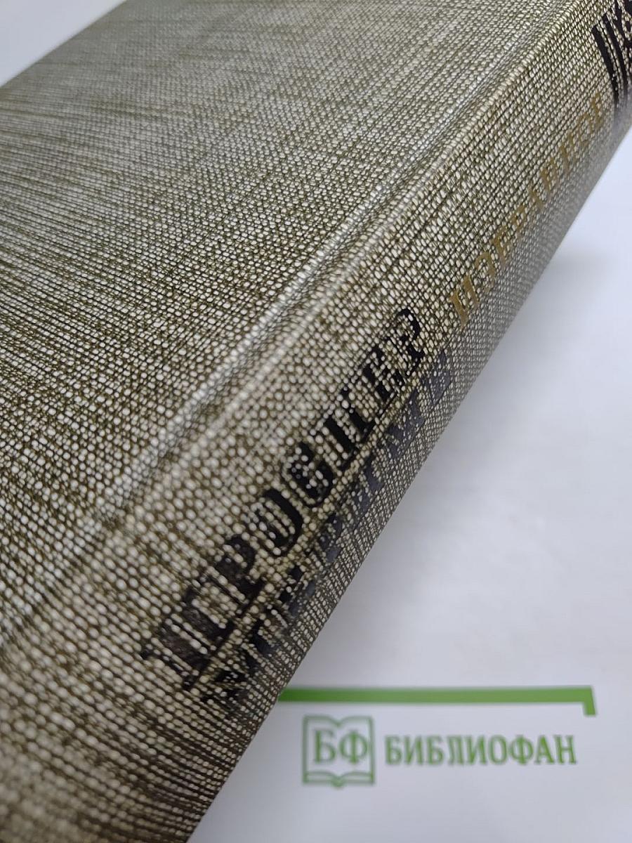 Избранное: Новеллы, Хроника царствования Карла IX