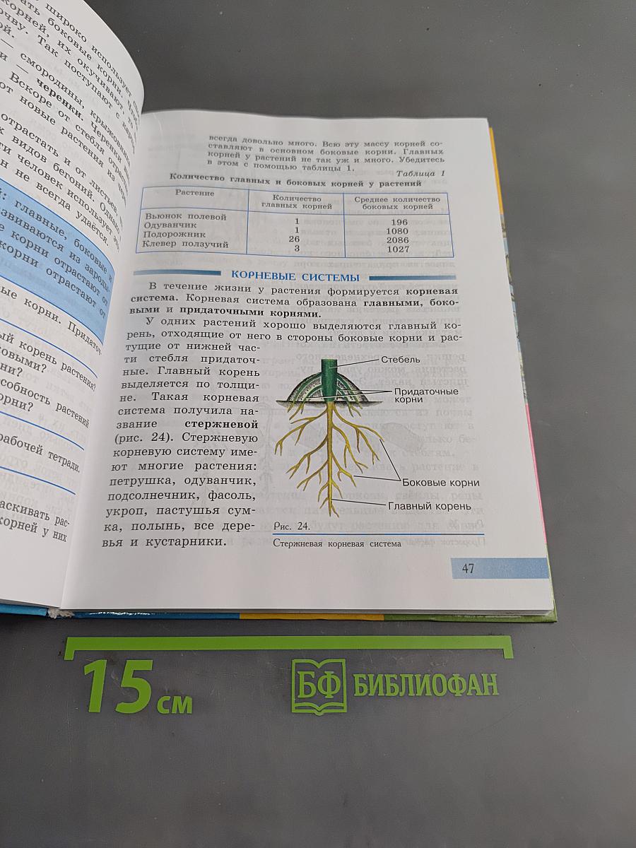 Биология. Растения. Бактерии. Грибы. Учебник для 7 класса специальных (коррекционных) образовательных учреждений VIII вида