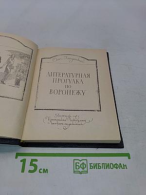 Литературная прогулка по Воронежу