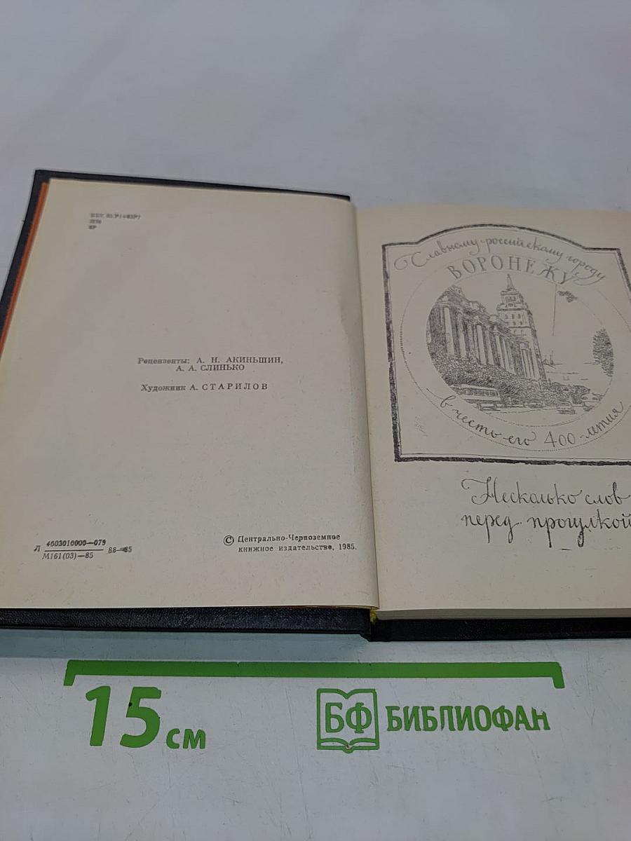 Литературная прогулка по Воронежу