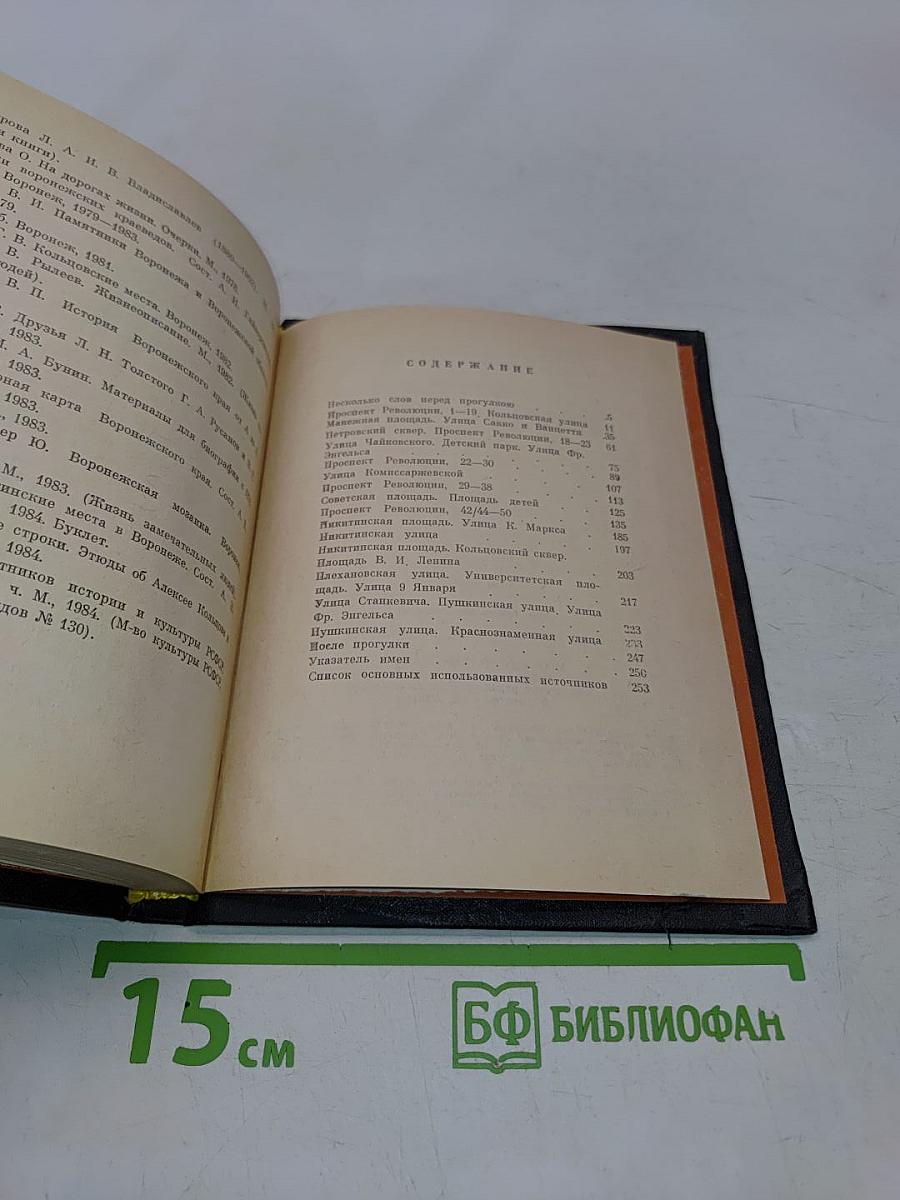 Литературная прогулка по Воронежу
