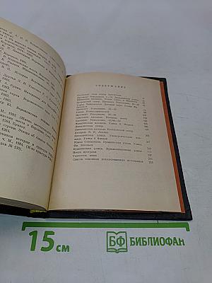 Литературная прогулка по Воронежу