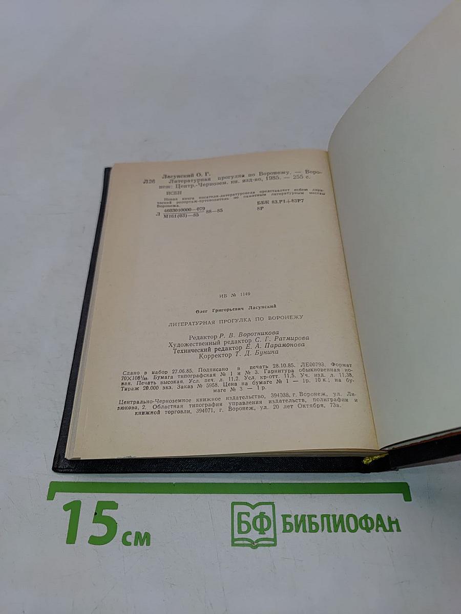 Литературная прогулка по Воронежу