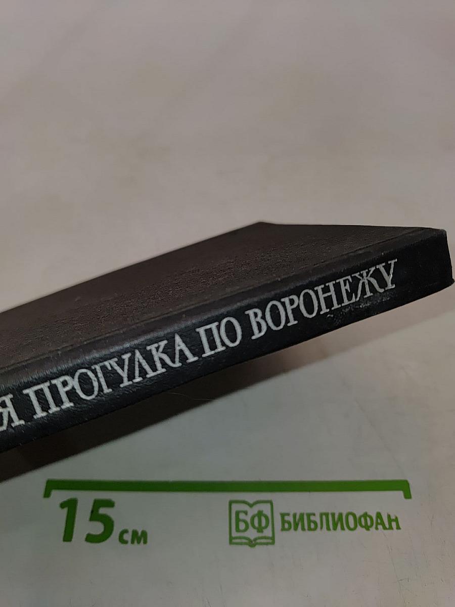 Литературная прогулка по Воронежу