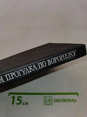 Литературная прогулка по Воронежу