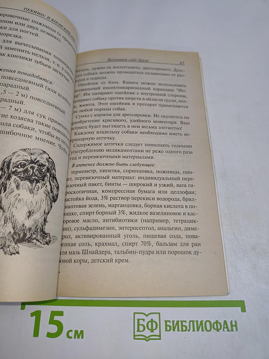 Пекинес и японский хин