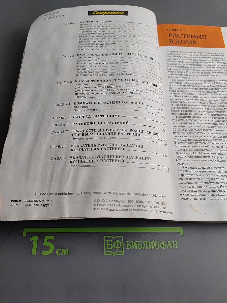 Все о комнатных растениях