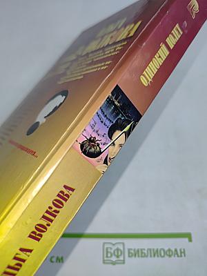 Одинокий полет