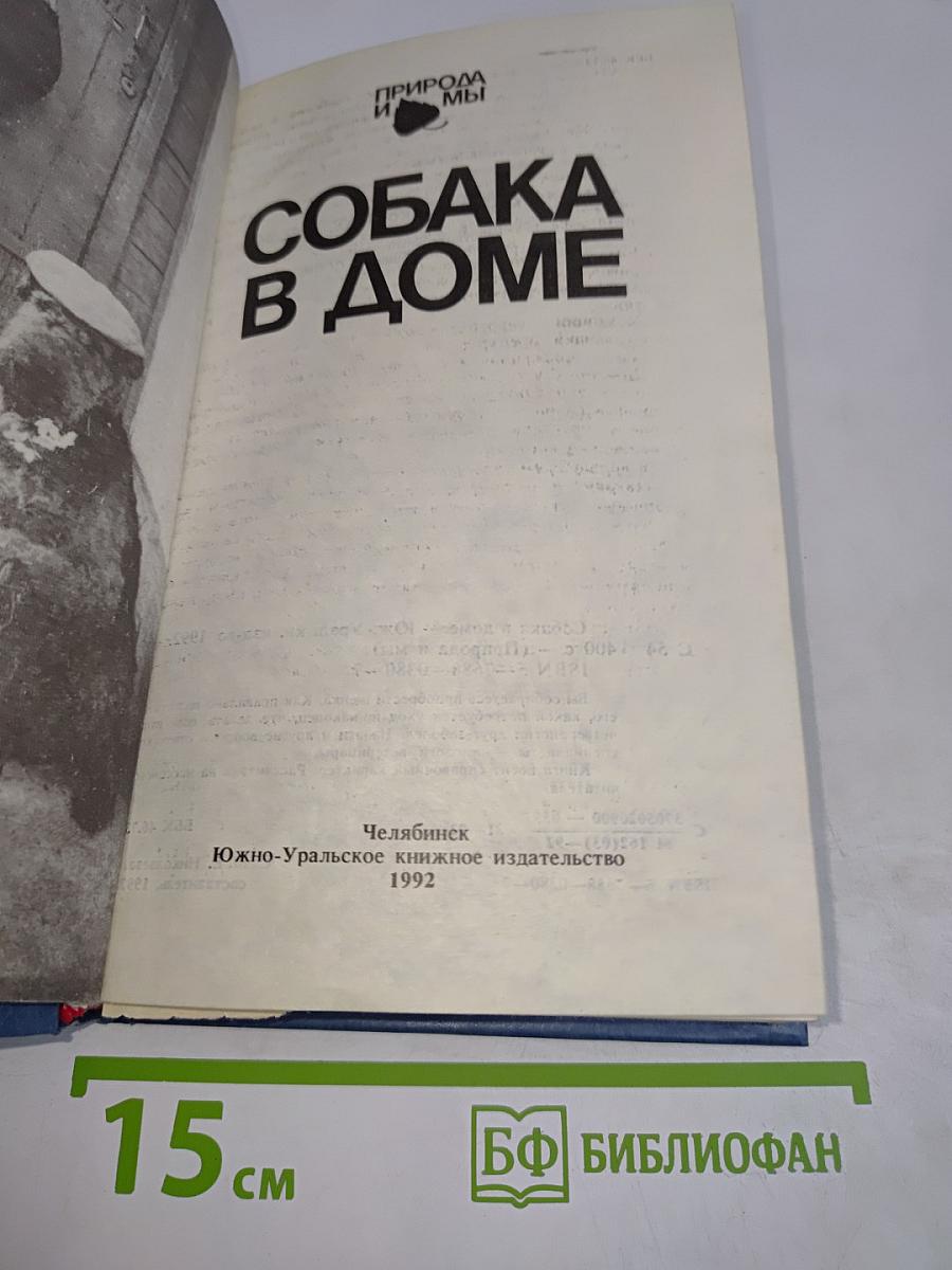Собака в доме