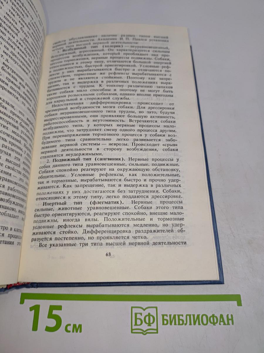 Собака в доме