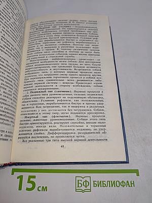 Собака в доме