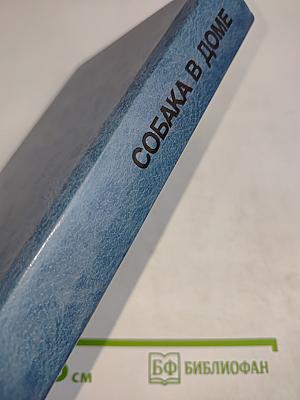 Собака в доме