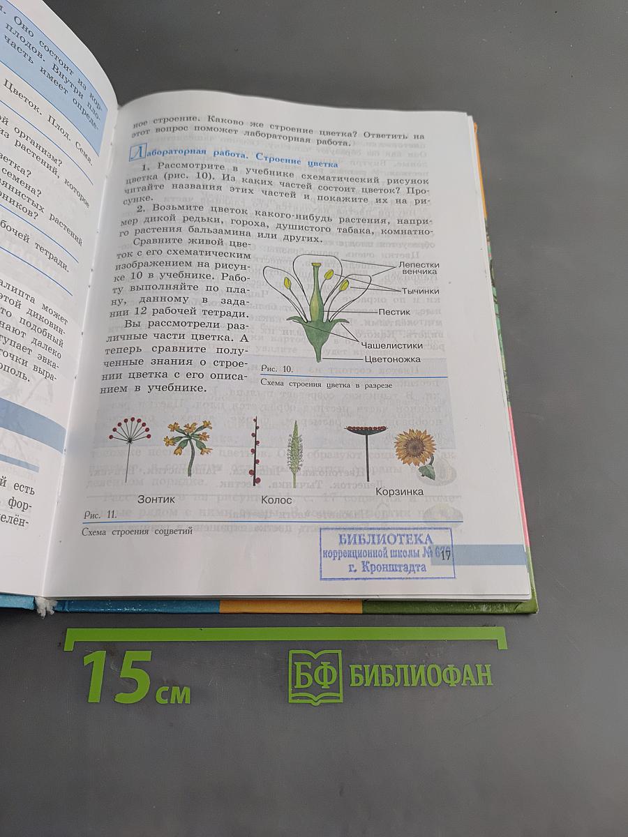 Биология. Растения. Бактерии. Грибы. 7 класс