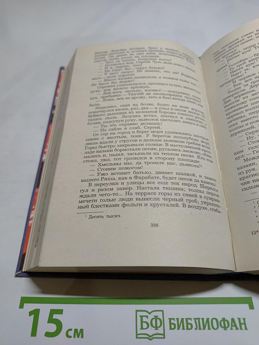 Разин Степан