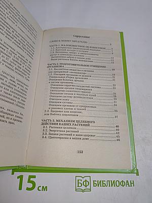 Зеленая аптека на подоконнике