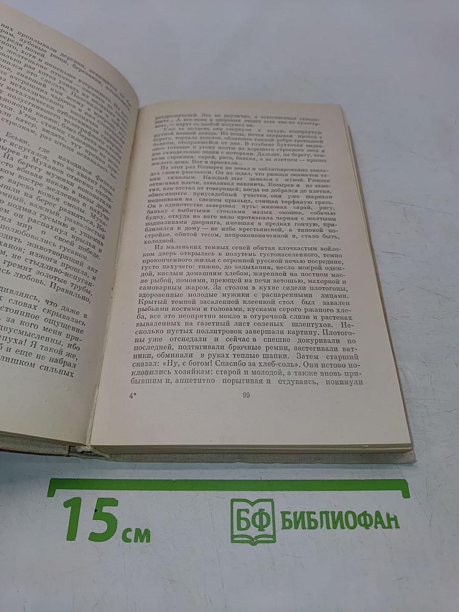 Избранные произведения в двух томах. Том 2. Маленькие повести. Рассказы