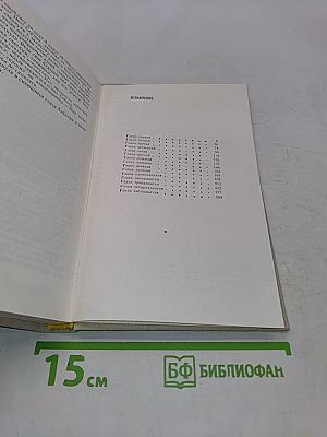 Честь