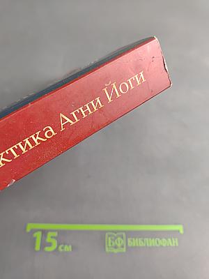 Теория и практика Агни Йоги