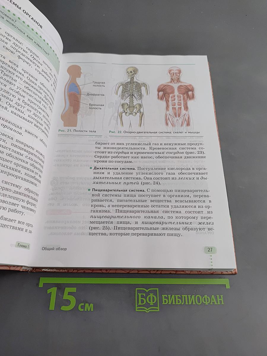 Биология. Человек. 9 класс
