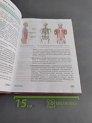 Биология. Человек. 9 класс