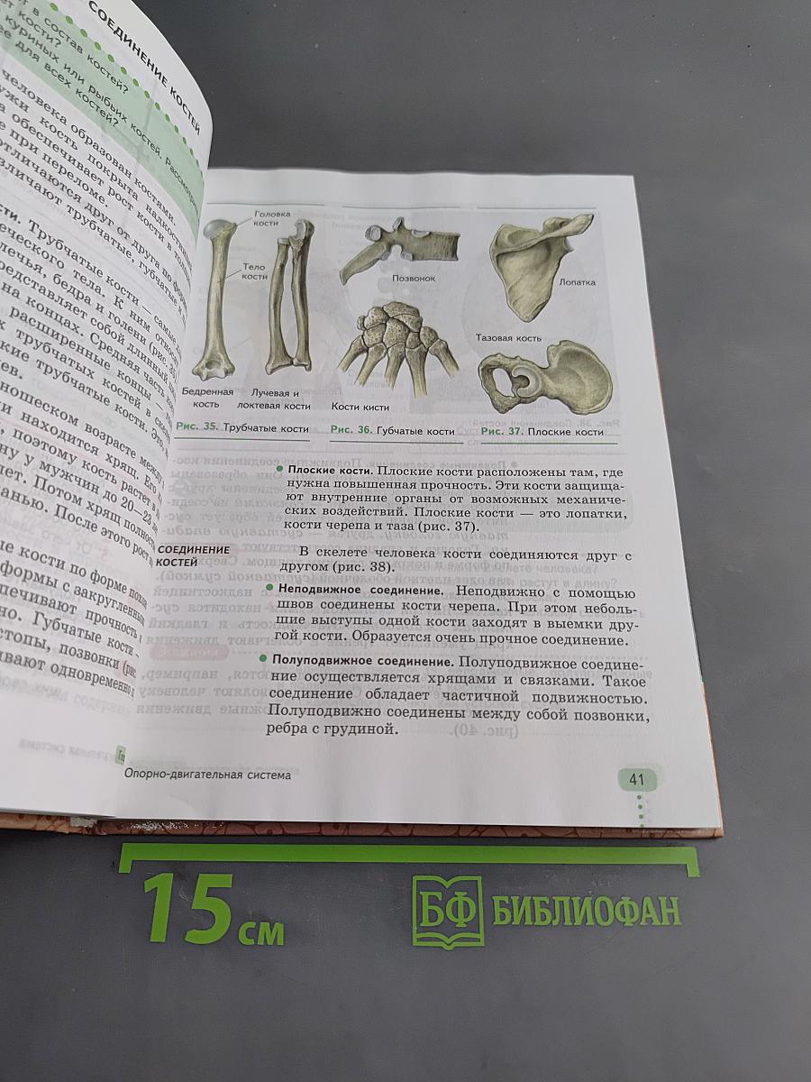 Биология. Человек. 9 класс