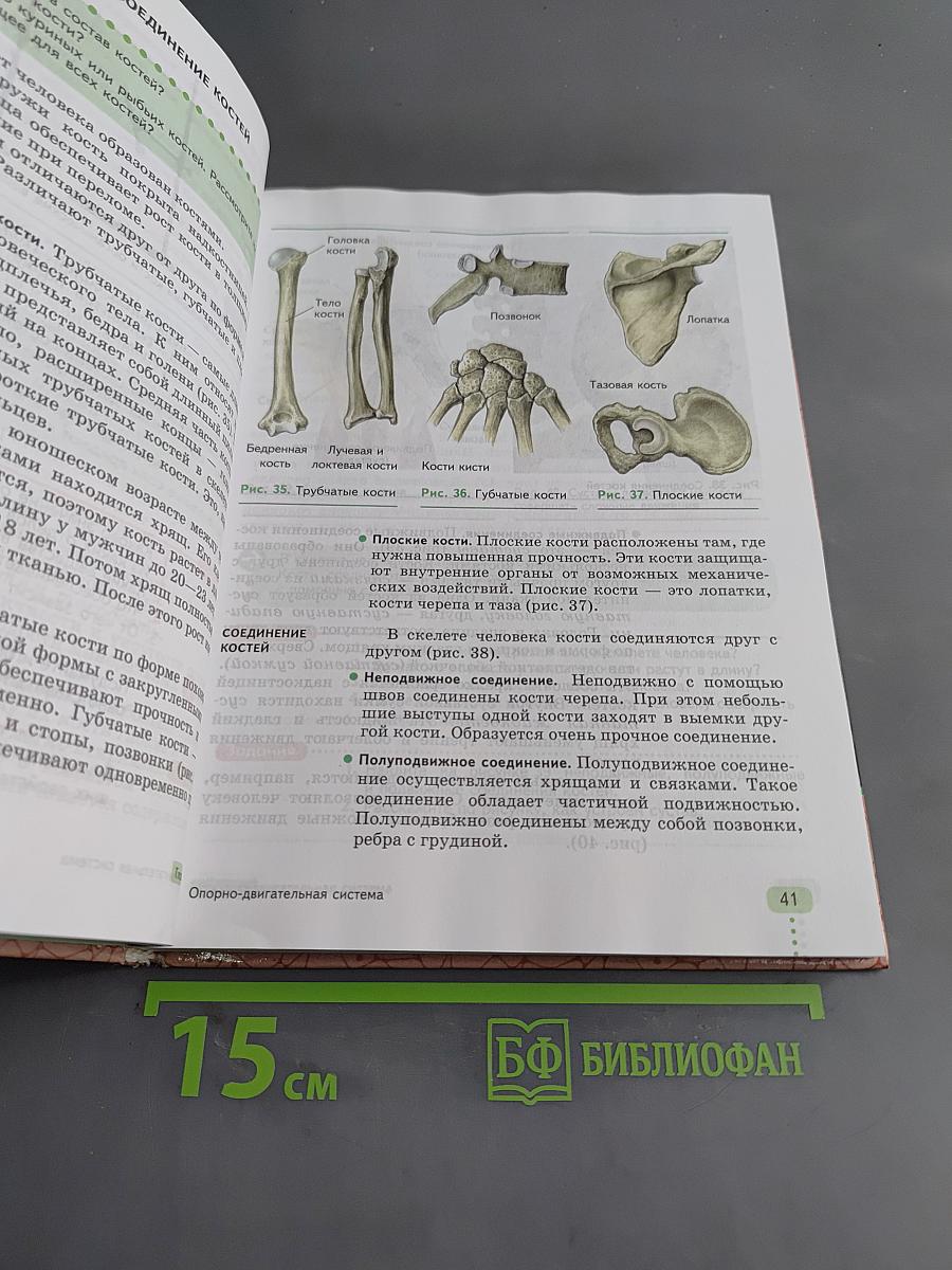 Биология. Человек. 9 класс