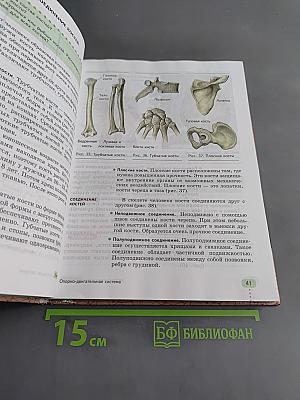 Биология. Человек. 9 класс