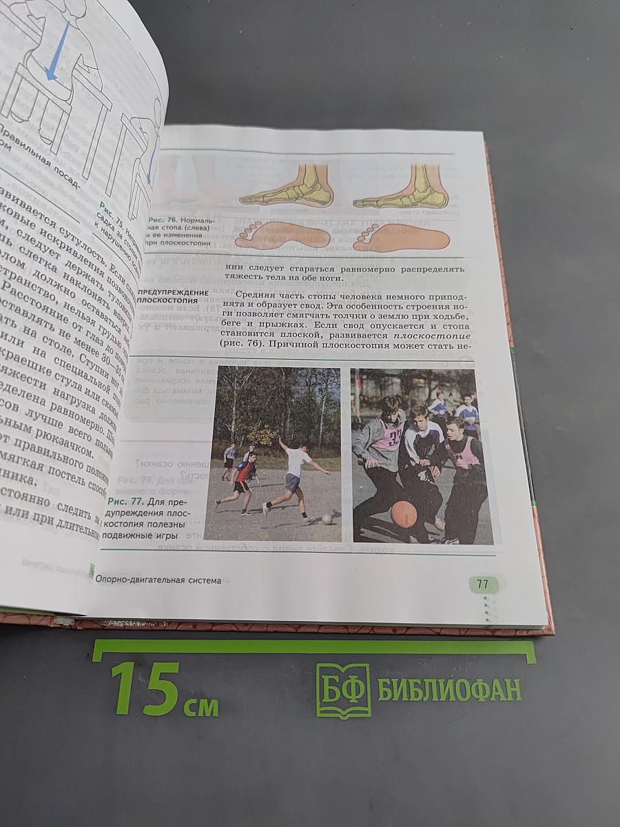 Биология. Человек. 9 класс
