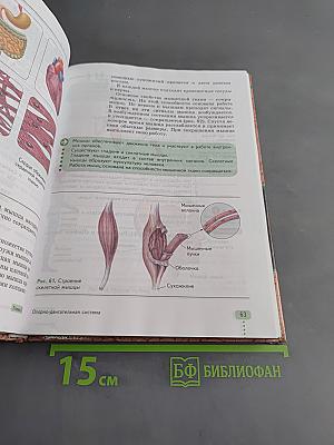 Биология. Человек. 9 класс. Учебник для специальных (коррекционных) образовательных учреждений VIII вида