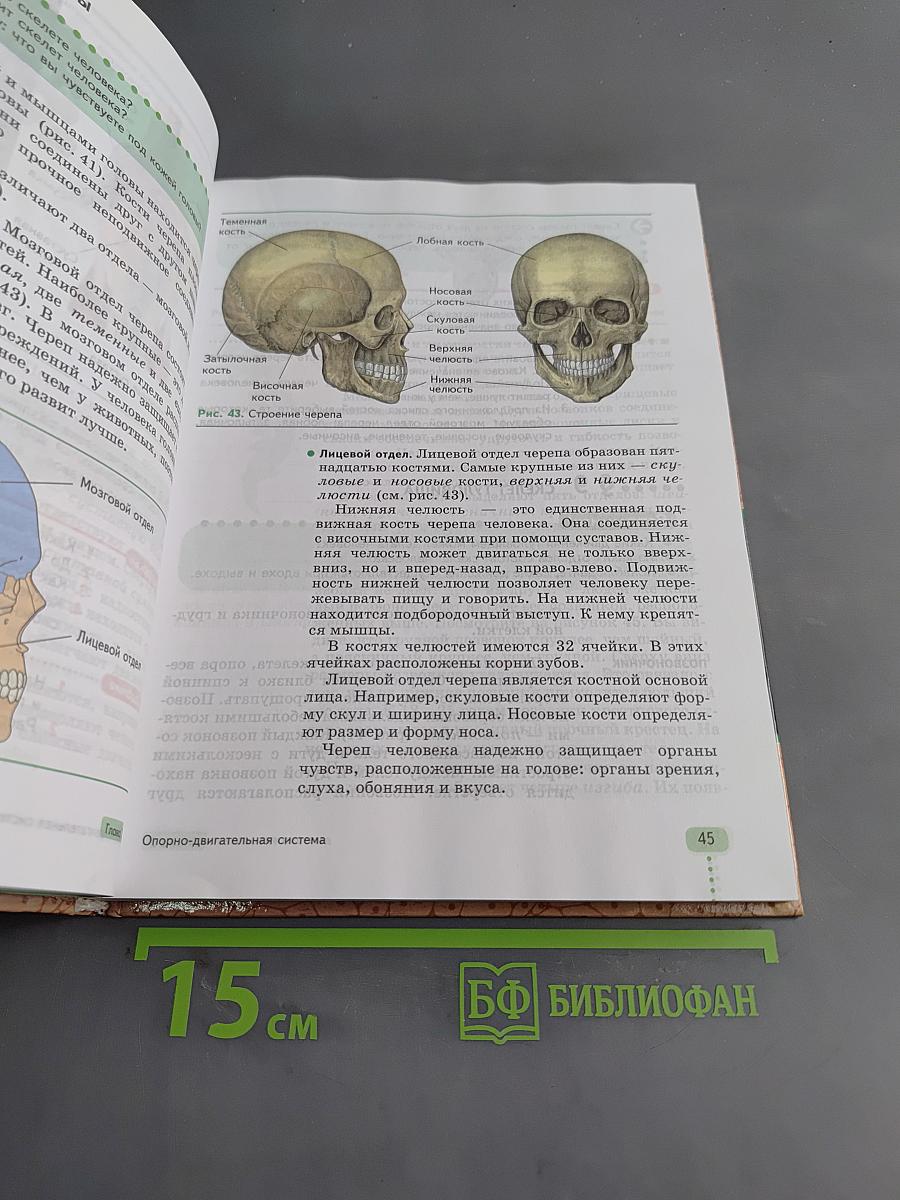 Биология. Человек. 9 класс