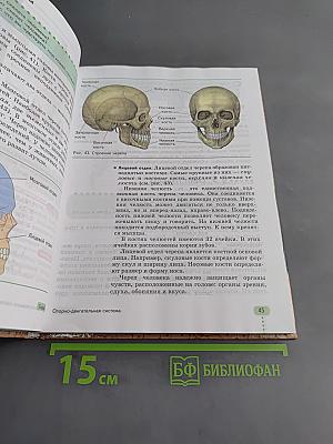 Биология. Человек. 9 класс