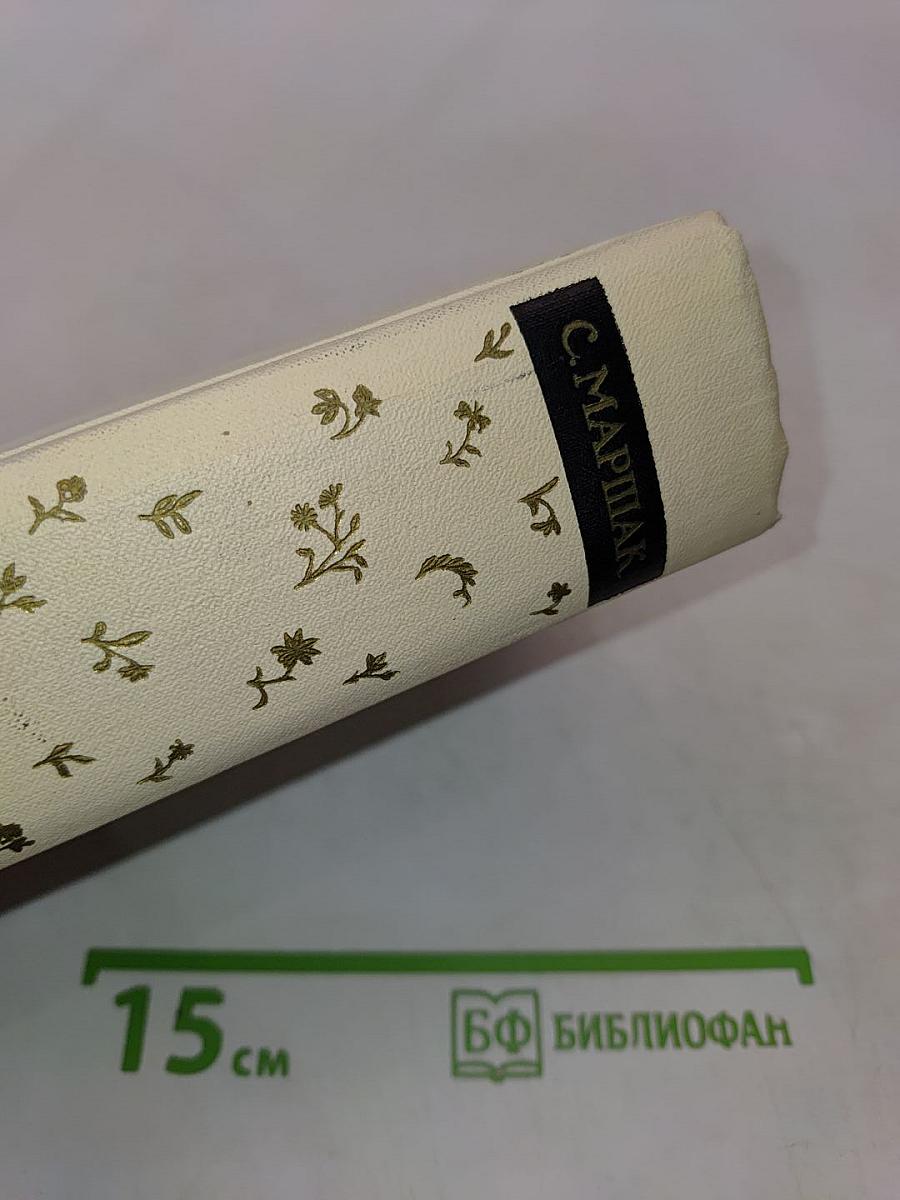 Сочинения в четырех томах. Том четвертый. Статьи и заметки о мастерстве. Страницы воспоминаний. Новые стихи и переводы