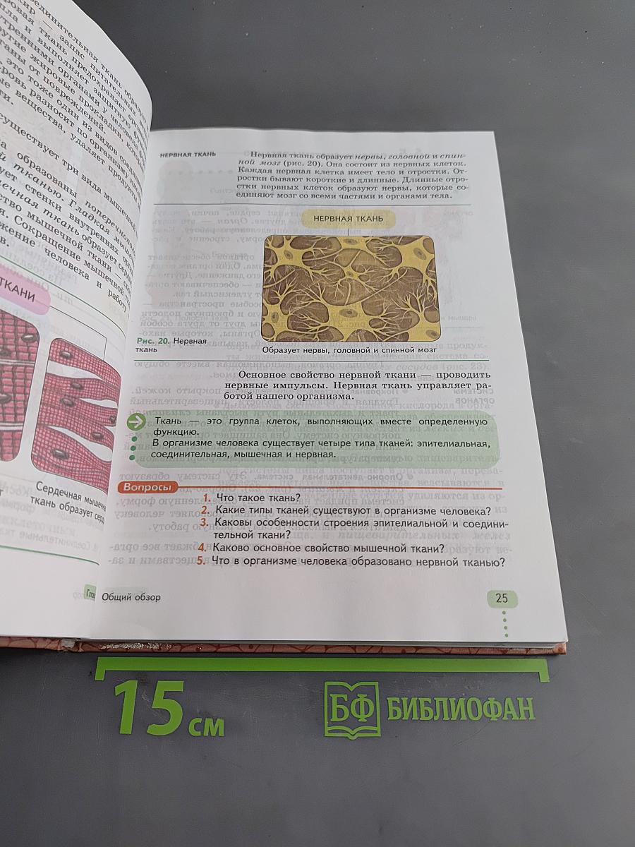 Биология. Человек. 9 класс