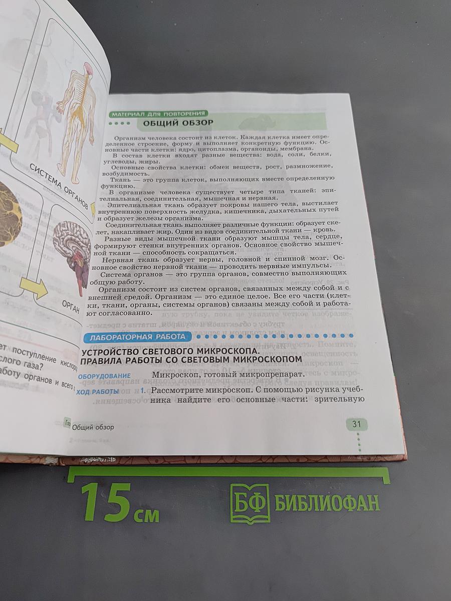 Биология. Человек. 9 класс