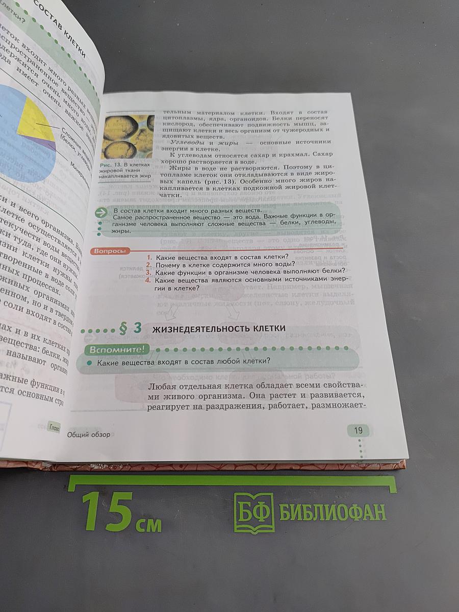 Биология. Человек. 9 класс