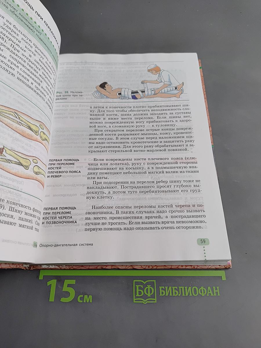 Биология. Человек. 9 класс